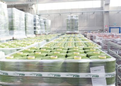 Fabrica_sintetico_174